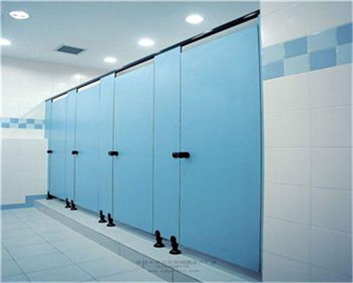 资阳复合板卫生间隔断工程